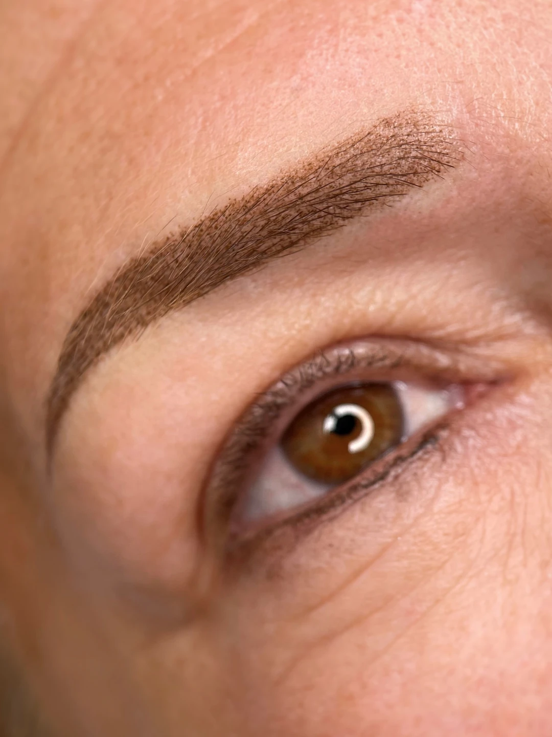 Servicio Cejas- Powder Brows