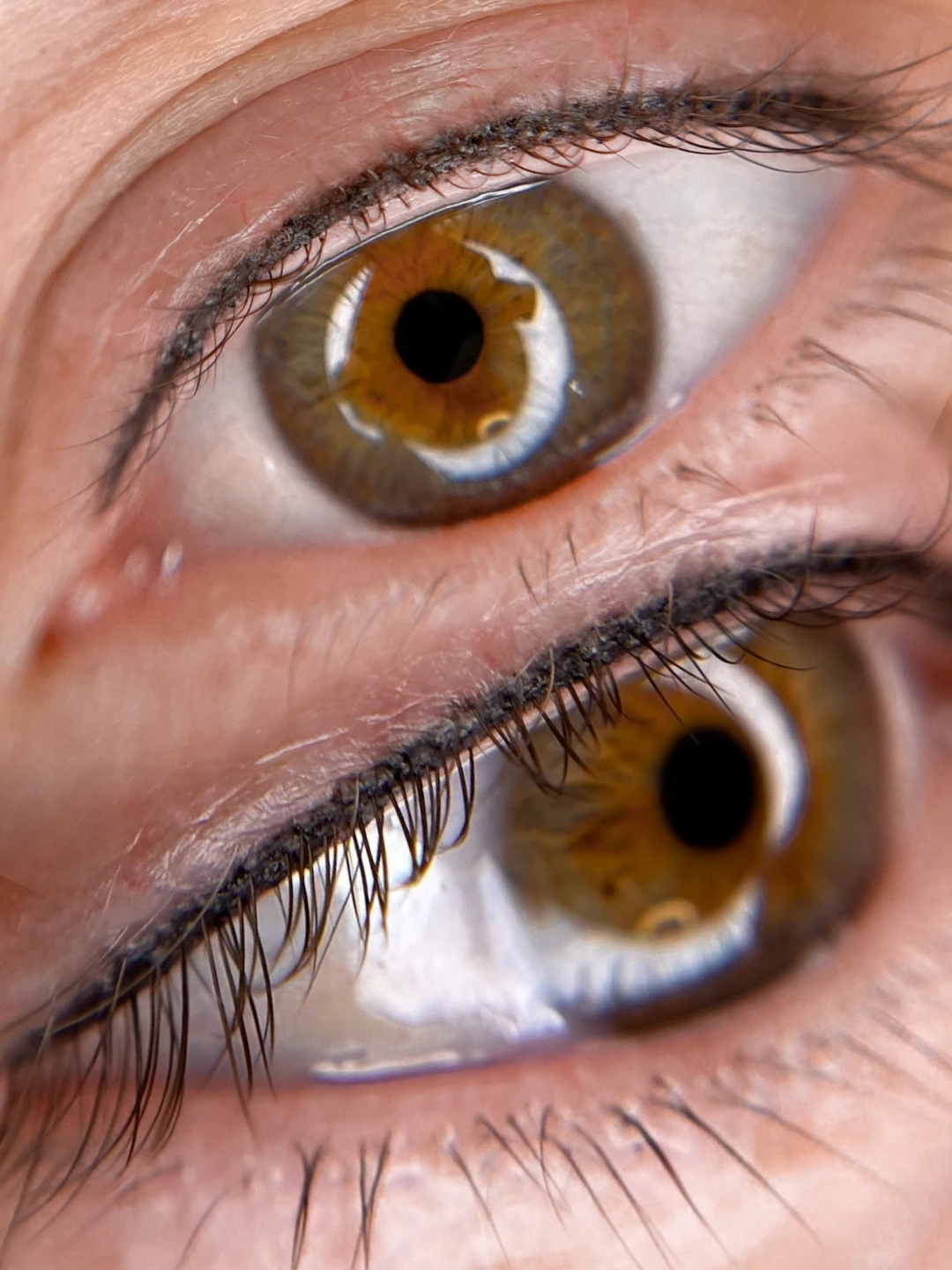 Servicio Ojos - Lash Liner